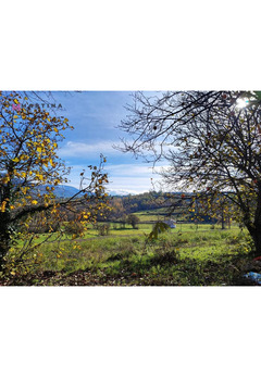 AGRITURISMO - Image 2